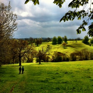 photo1
