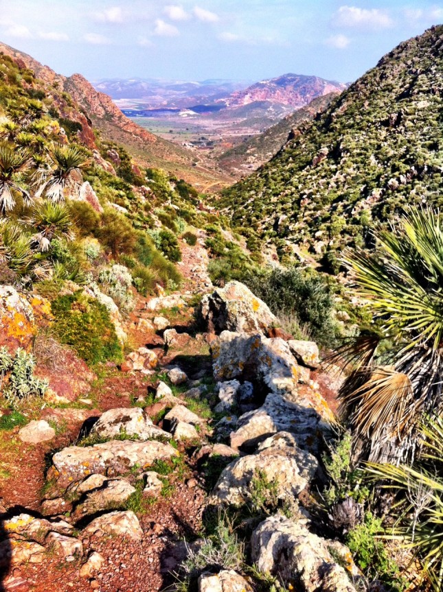 The Cerro Cuchillo valley in the Cabo de Gata, lush with flora and a very rocky path!