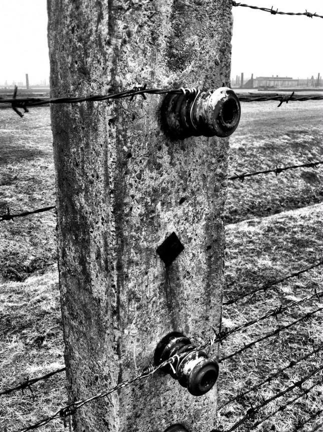 Concrete fence posts with ceramic electrical isolators at Auschwitz II-Birkenau
