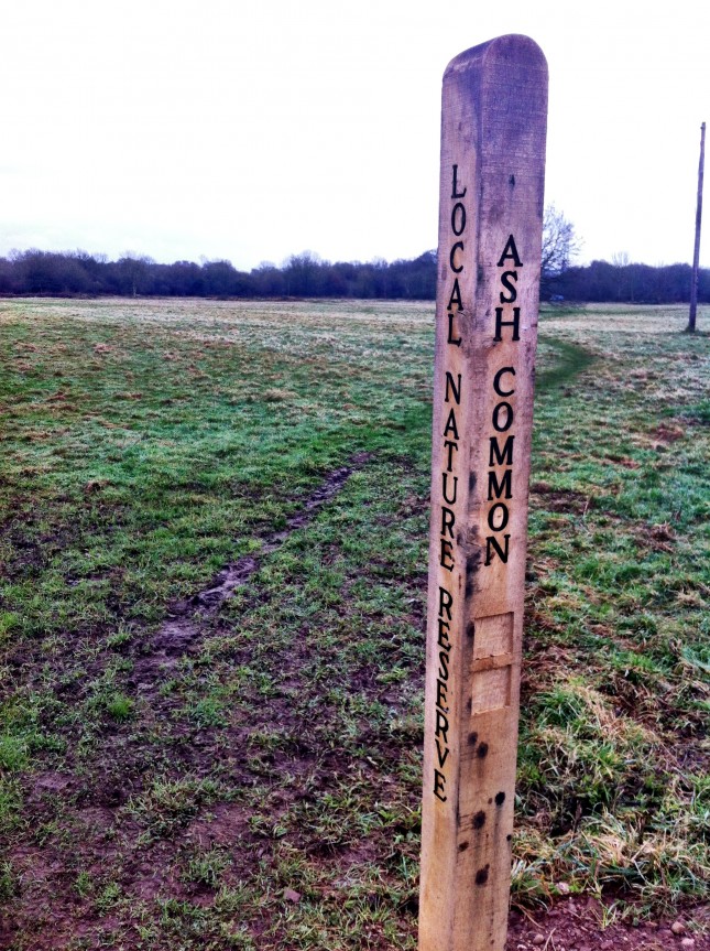 Marker Post on Ash Common