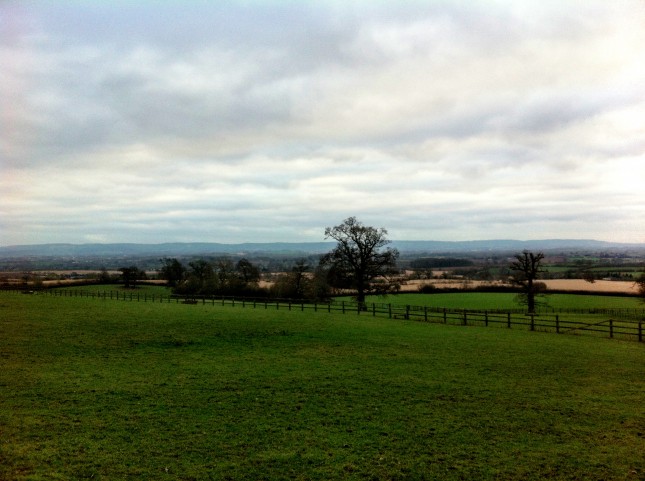 Far Reaching Views Across Taunton Vale