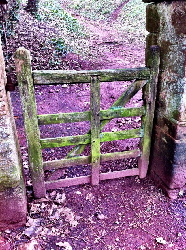 Rustic Gateway in Coombe Florey