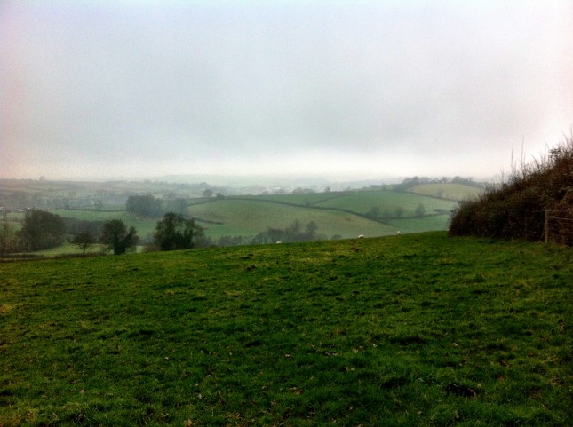 Views of Maundown and Wiveliscombe Across the Fields