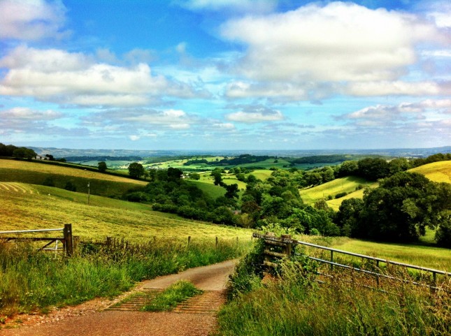 A stunning view from above Pyncombe Farm, looking over the Vale of Taunton