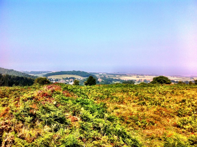 The view from Bat's Castle towards Dunster Castle and Dunster Beach
