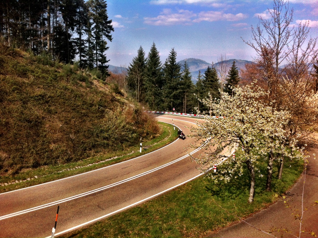 The Black Forest and the Schwarzwald Hockstrasse
